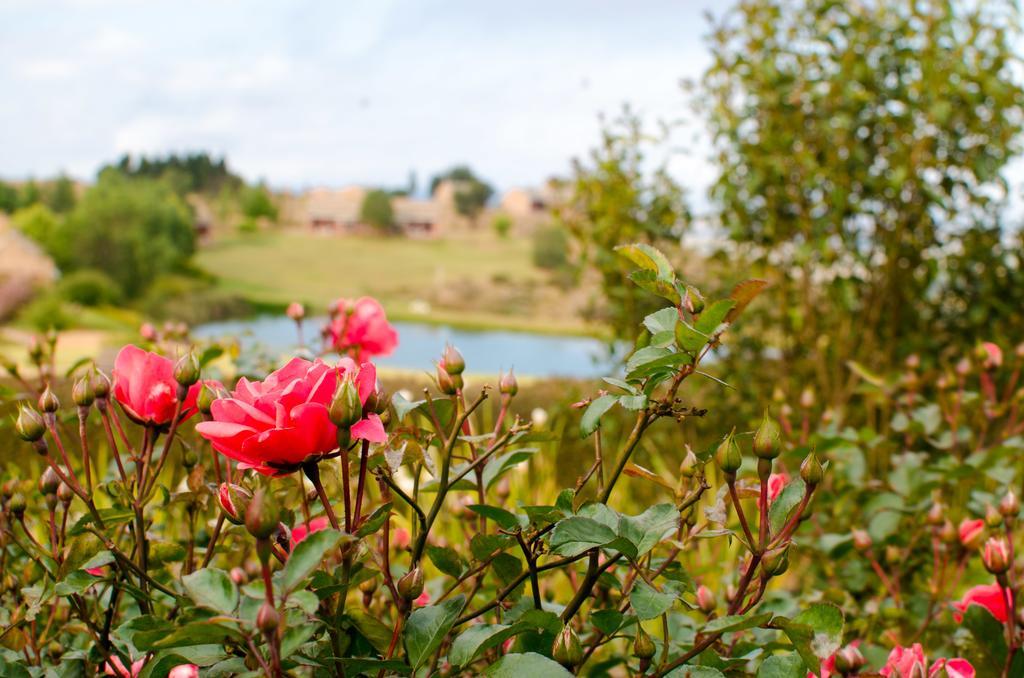 Gooderson Kloppenheim Country Estate Hotel Machadodorp Bagian luar foto